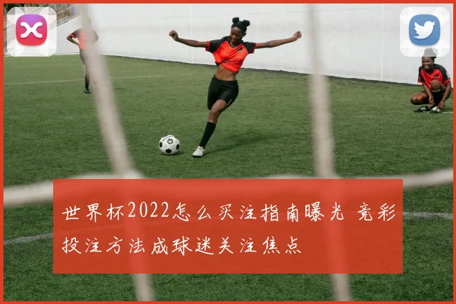 世界杯2022怎么买注指南曝光 竞彩投注方法成球迷关注焦点