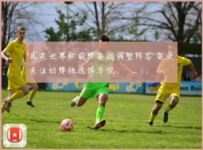 国足世界杯前锋备战调整阵容 备受关注的锋线选择浮现